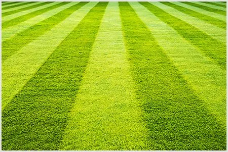 Professional landscape design experts serving Holly Springs, NC - Daddy Mow Mow