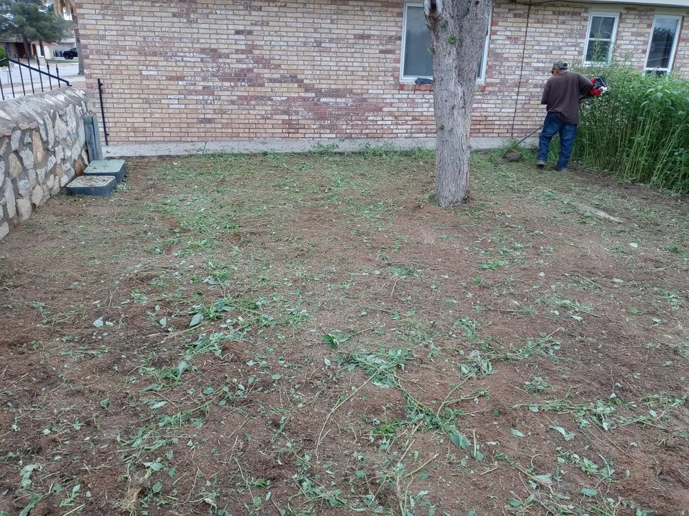 Trusted residential landscaping experts serving El Paso, TX - Daddy's Lawn Service
