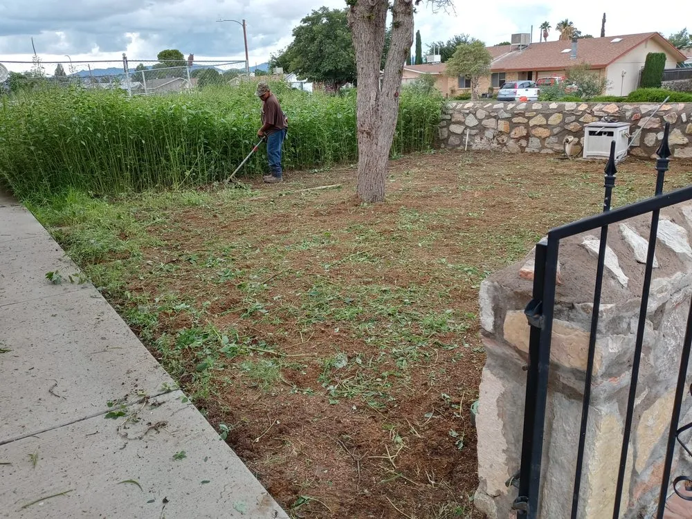 Custom landscape design for outdoor upgrades across El Paso, TX - Daddy's Lawn Service