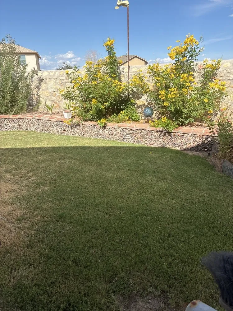 Local landscape design for year-round maintenance across El Paso, TX - Daddy's Lawn Service