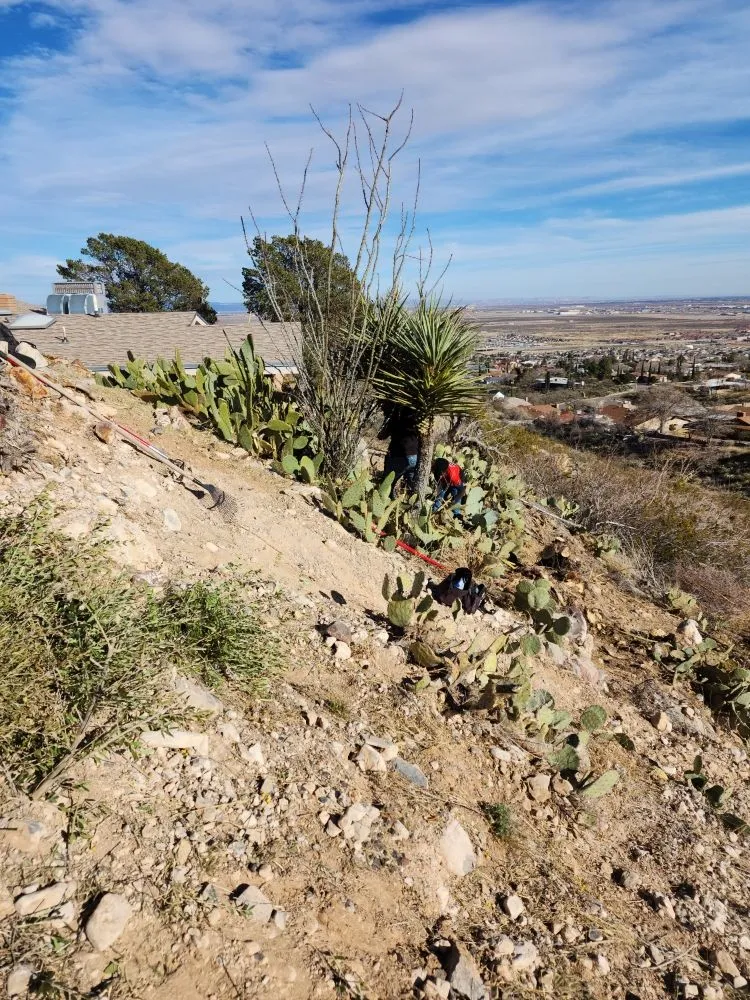 Trusted residential landscaping in El Paso, TX by Daddy's Lawn Service