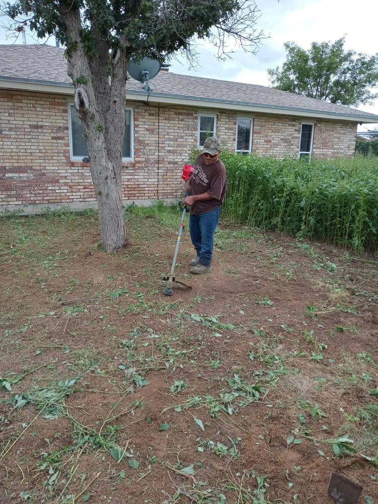 Custom lawn care service in El Paso, TX by Daddy's Lawn Service
