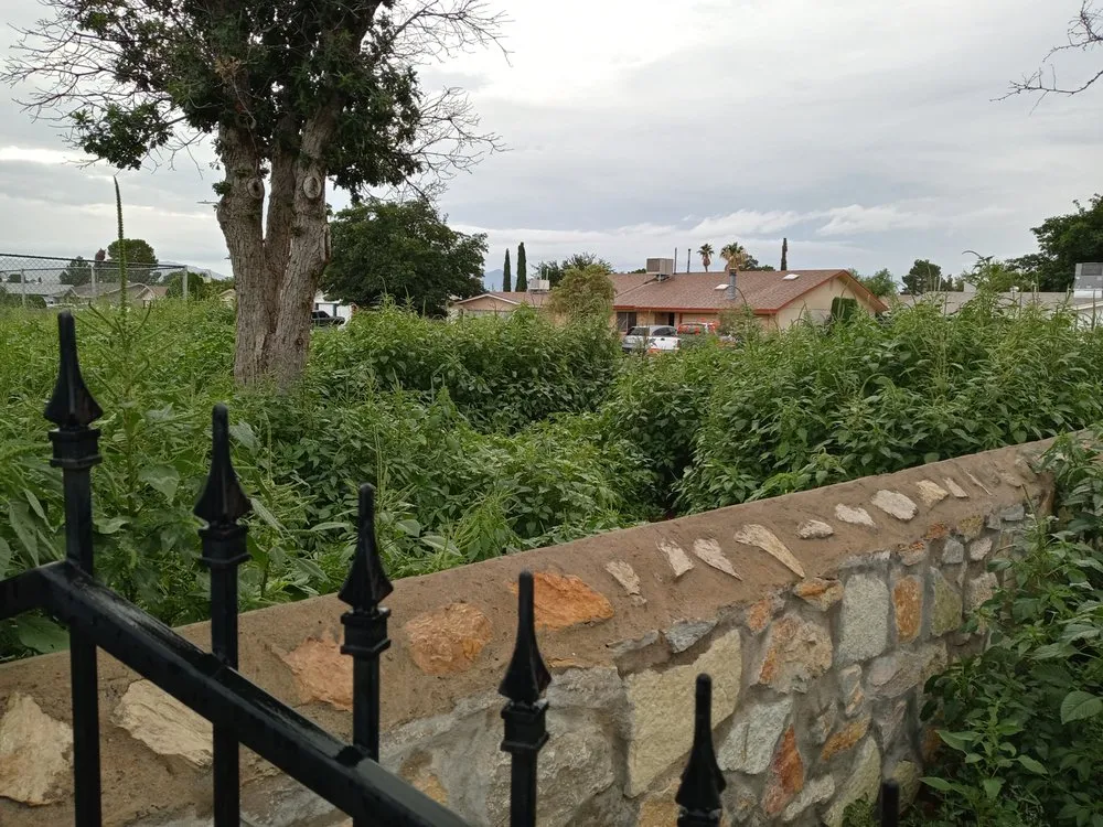 Reliable lawn care service for year-round maintenance in El Paso, TX by Daddy's Lawn Service