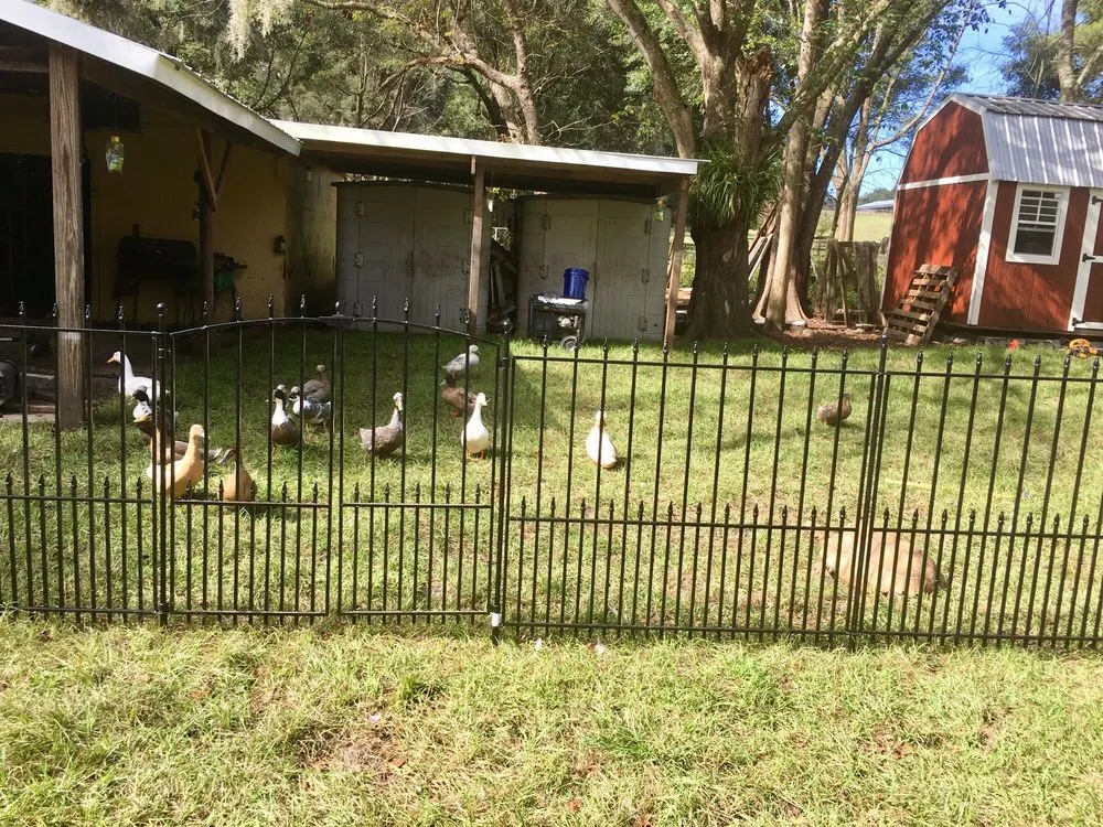 Local yard maintenance in Dade City, FL - Dade City Sod & Landscaping