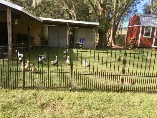 Dade City Sod & Landscaping