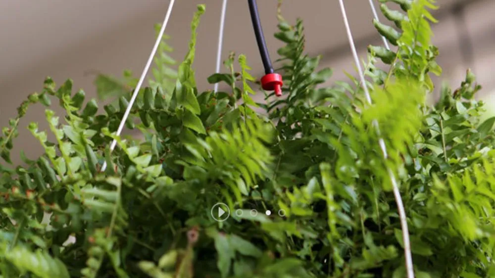 Custom landscape design experts serving O Fallon, MO - Dade Irrigation