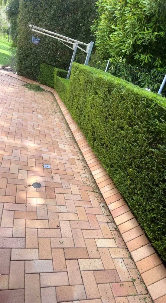 Professional yard cleanup service for residential properties in Miami, FL by Dadeland Lawn Care