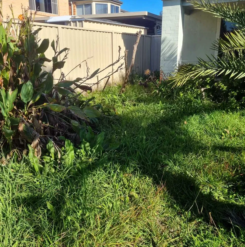 Trusted landscaping services in Miami, FL - Dadeland Lawn Care