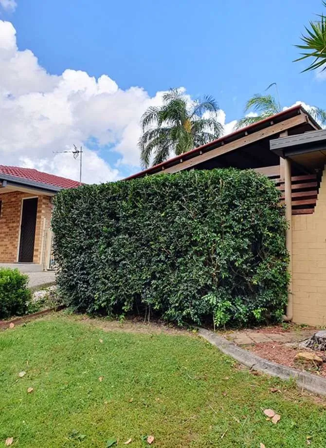 Expert yard maintenance in Miami, FL - Dadeland Lawn Care