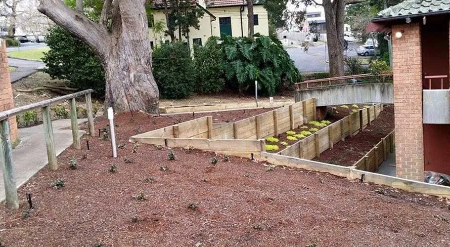 Reliable yard cleanup service experts serving Miami, FL - Dadeland Lawn Care