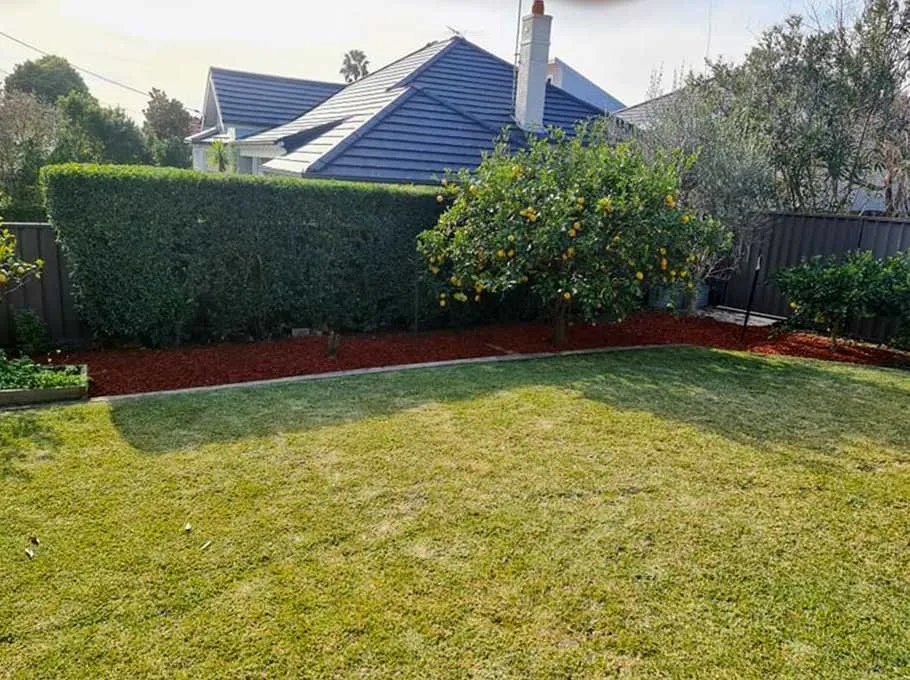 Expert landscaping services near you across Miami, FL - Dadeland Lawn Care