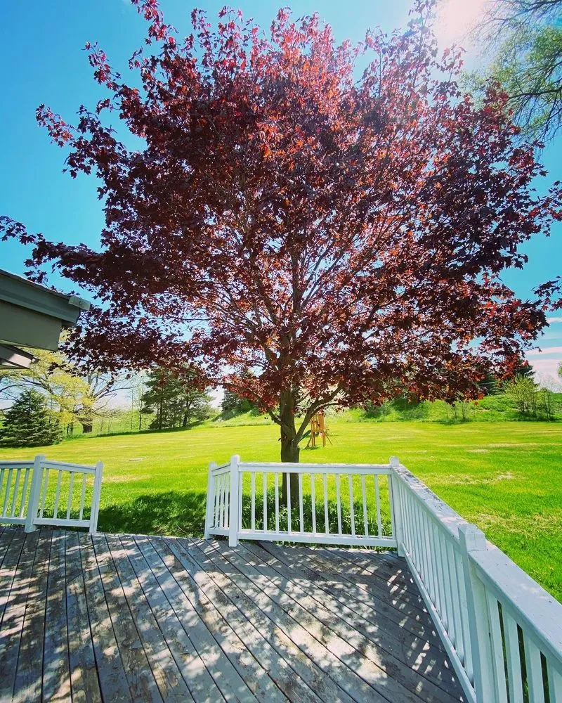 Custom outdoor landscaping near you in Manchester, MI by Dad's Day Off Lawn Care