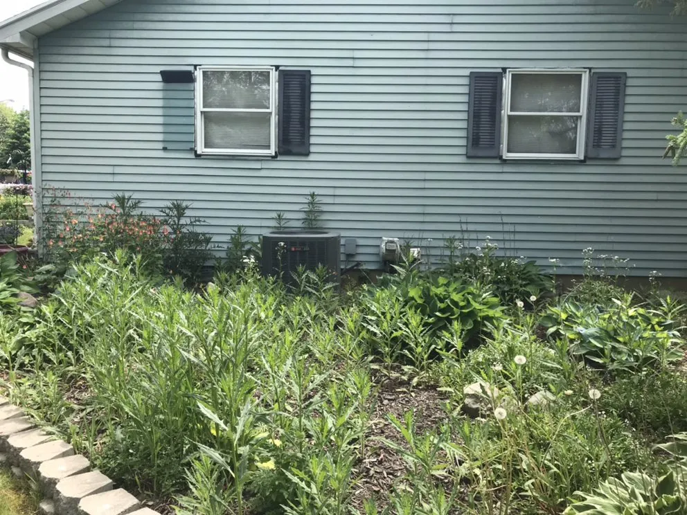 Affordable landscape installation for year-round maintenance in Manchester, MI by Dad's Day Off Lawn Care