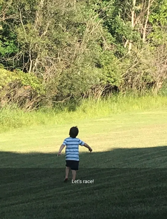 Affordable landscape installation near you in Manchester, MI by Dad's Day Off Lawn Care