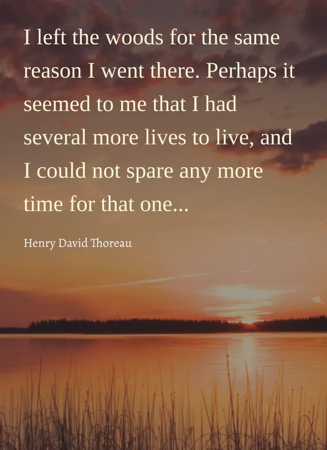 Local garden landscaping in Manchester, MI by Dad's Day Off Lawn Care