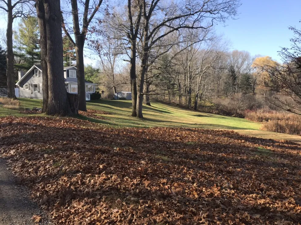 Local residential landscaping in Manchester, MI - Dad's Day Off Lawn Care
