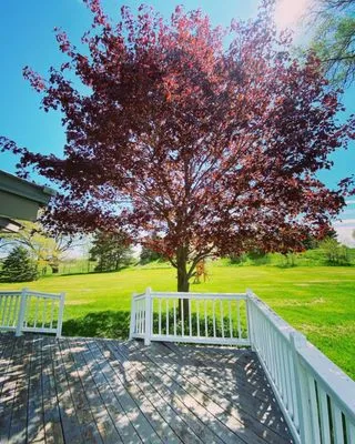 Dad's Day Off Lawn Care