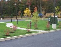 Professional landscape installation in Jersey Shore, PA - DAD's Landscaping