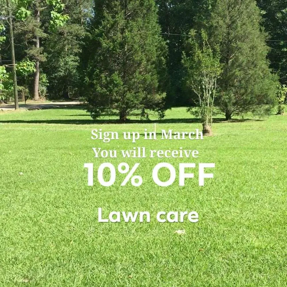Reliable lawn mowing service experts serving Denham Springs, LA - Dad's Lawn Care