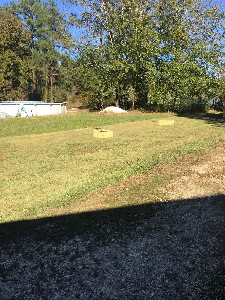 Local yard cleanup service with custom design in Denham Springs, LA by Dad's Lawn Care