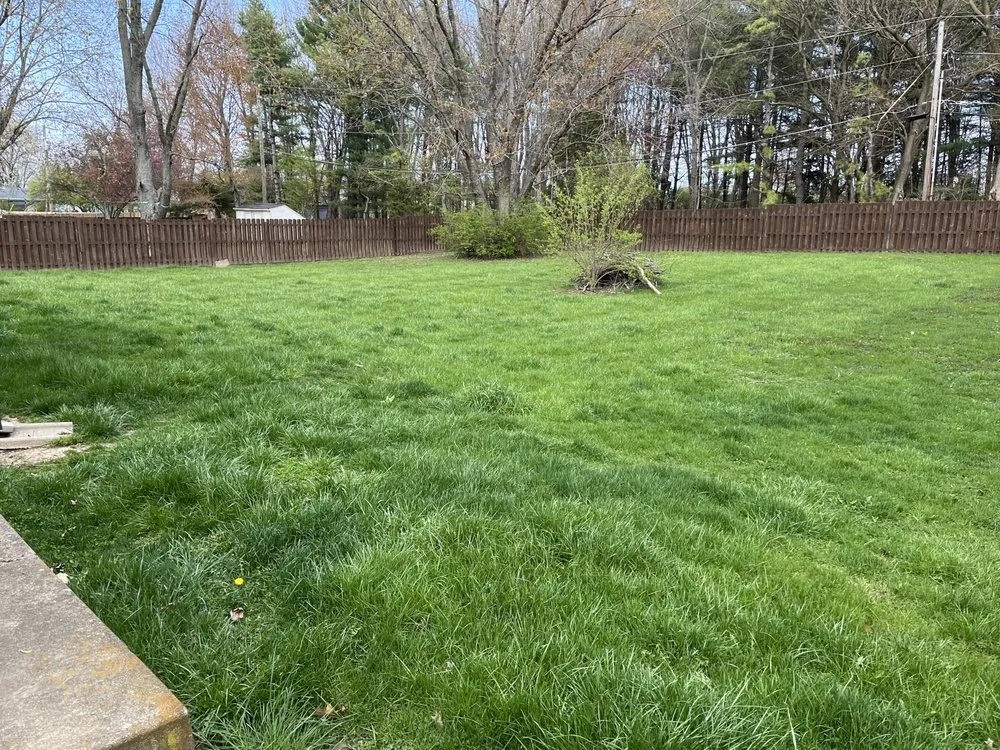 Reliable landscape design for outdoor upgrades across Anderson, IN - Dad’s Lawn Care Landscaping