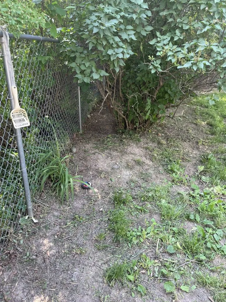 Trusted landscape installation in Anderson, IN - Dad’s Lawn Care Landscaping