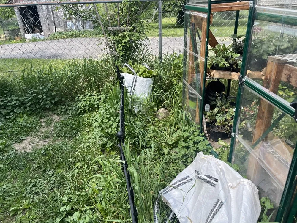 Top-rated lawn mowing service for residential properties across Anderson, IN - Dad’s Lawn Care Landscaping