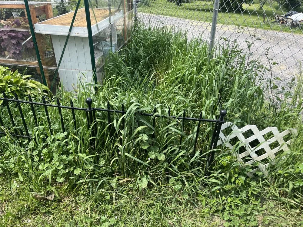 Reliable garden landscaping in Anderson, IN by Dad’s Lawn Care Landscaping