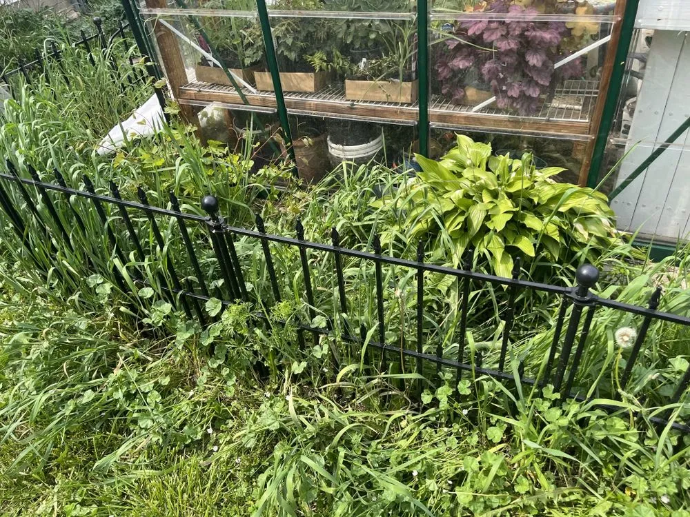 Top-rated landscaping services in Anderson, IN by Dad’s Lawn Care Landscaping