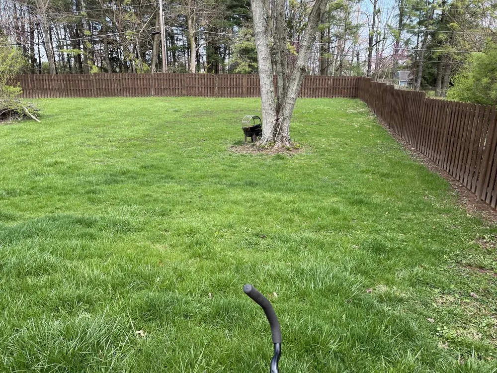 Top-rated yard cleanup service for homes across Anderson, IN - Dad’s Lawn Care Landscaping