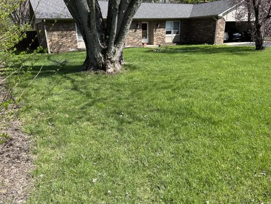 Dad’s Lawn Care Landscaping