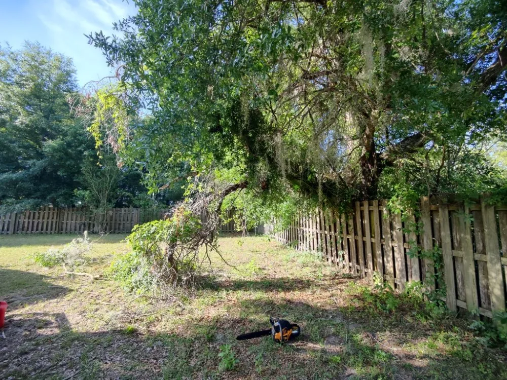 Local landscape installation experts serving Summerfield, FL - DAD's Lawn Care