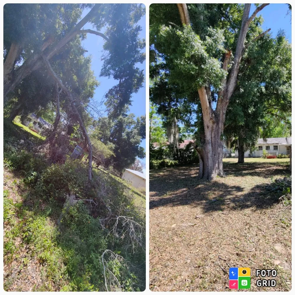 Affordable lawn care service for year-round maintenance in Summerfield, FL by DAD's Lawn Care