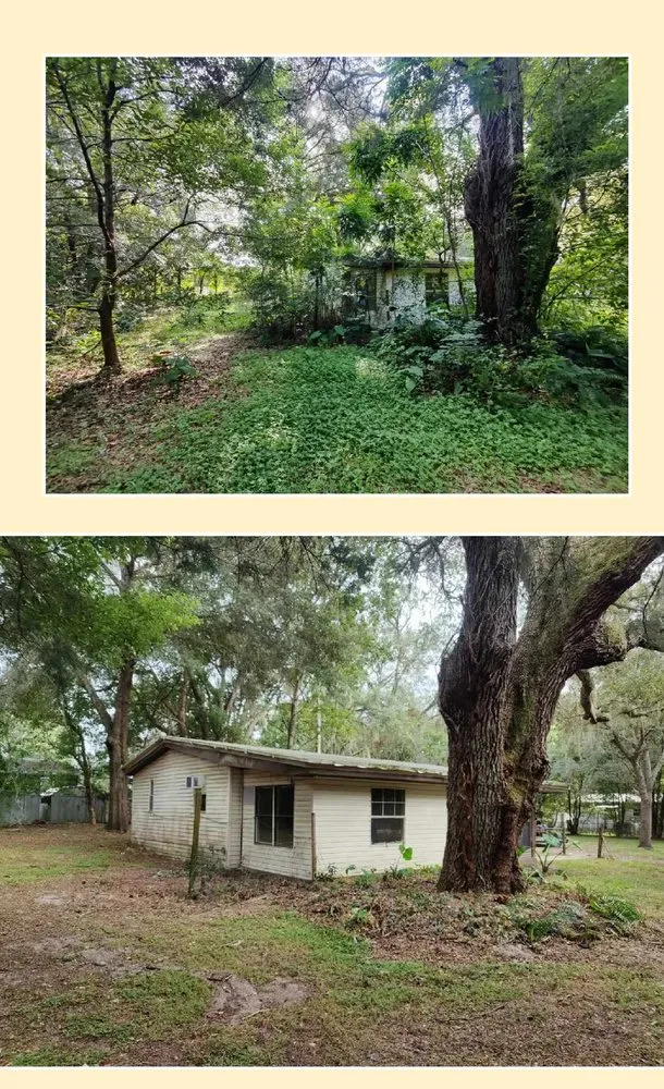 Affordable landscape design experts serving Summerfield, FL - DAD's Lawn Care