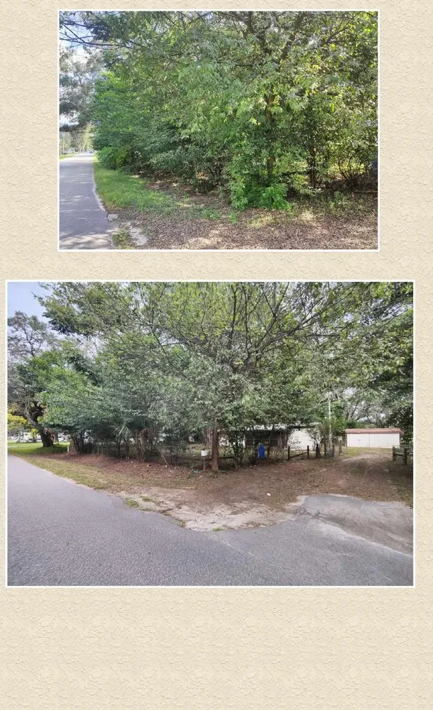 Reliable yard cleanup service for beautiful yards across Summerfield, FL - DAD's Lawn Care