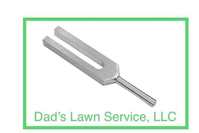 Professional landscaping services experts serving Mandeville, LA - Dad’s Lawn Service
