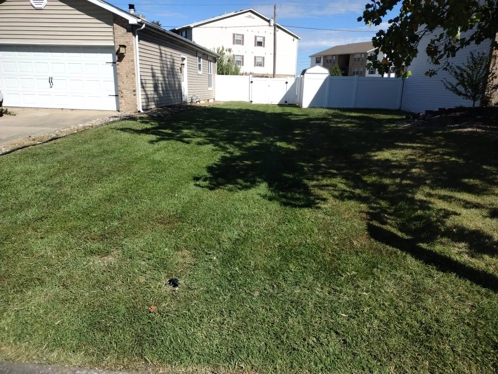 Local lawn care service in Granite City, IL - Dad's POV Lawn Care
