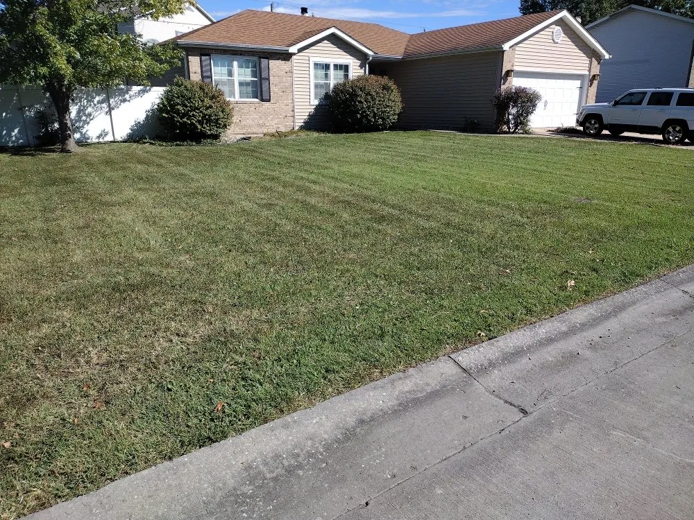 Affordable yard maintenance in Granite City, IL - Dad's POV Lawn Care