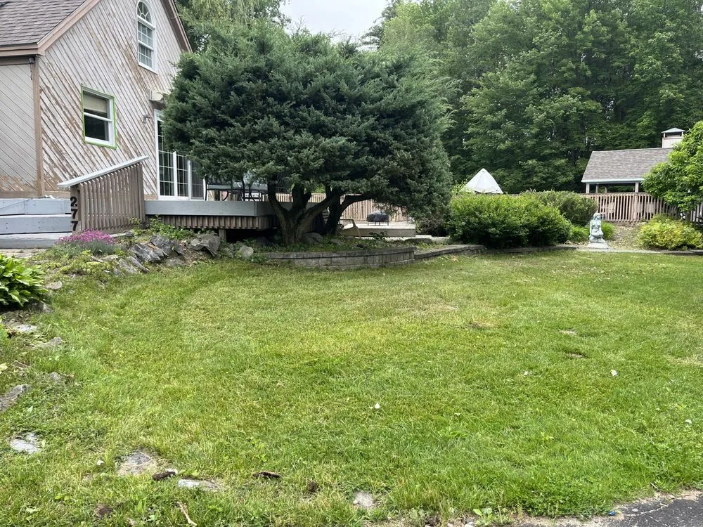 Top-rated lawn mowing service in Ballston Spa, NY - Dadscapes