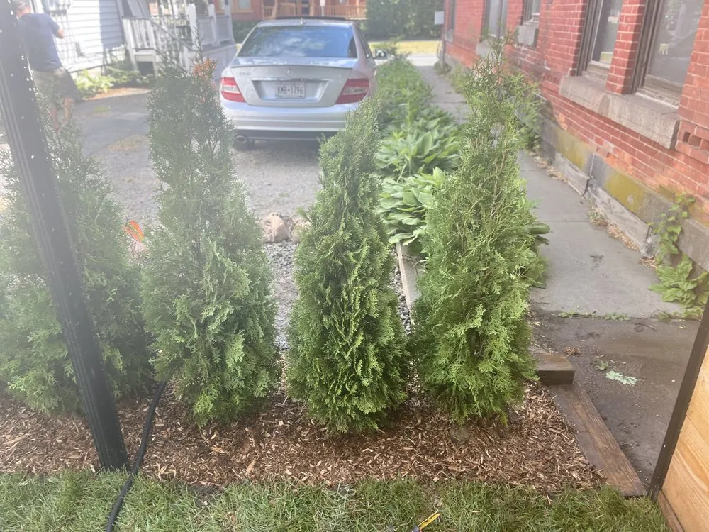 Professional lawn mowing service for residential properties across Ballston Spa, NY - Dadscapes