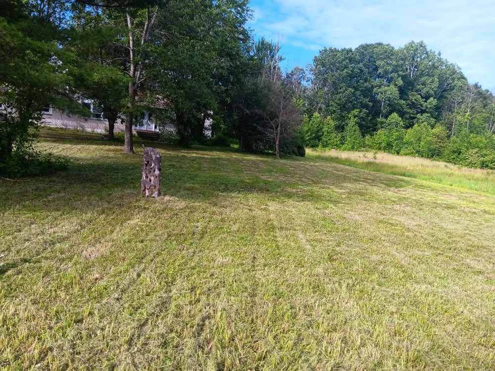 Local lawn care service in Ballston Spa, NY - Dadscapes