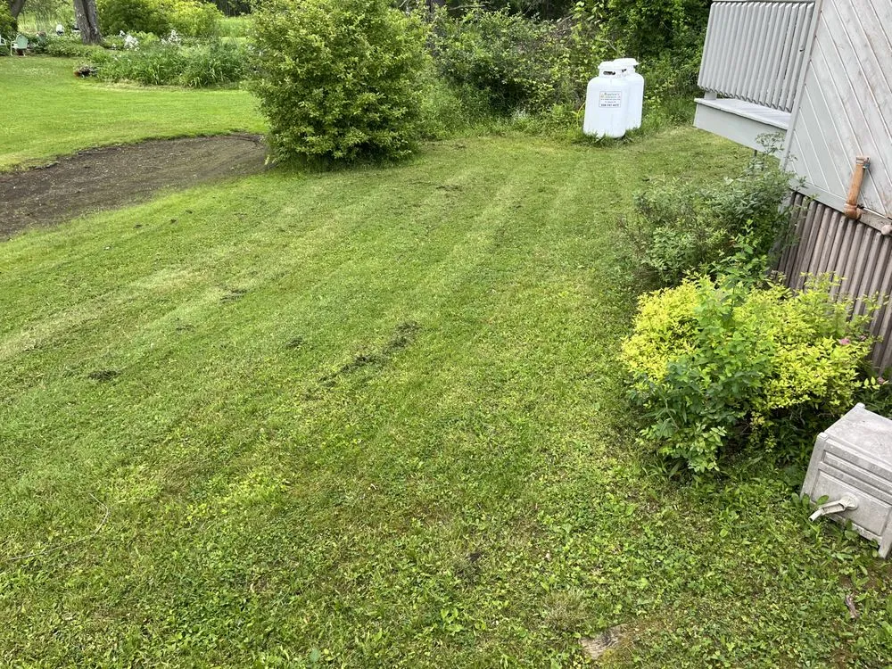 Professional garden landscaping in Ballston Spa, NY by Dadscapes