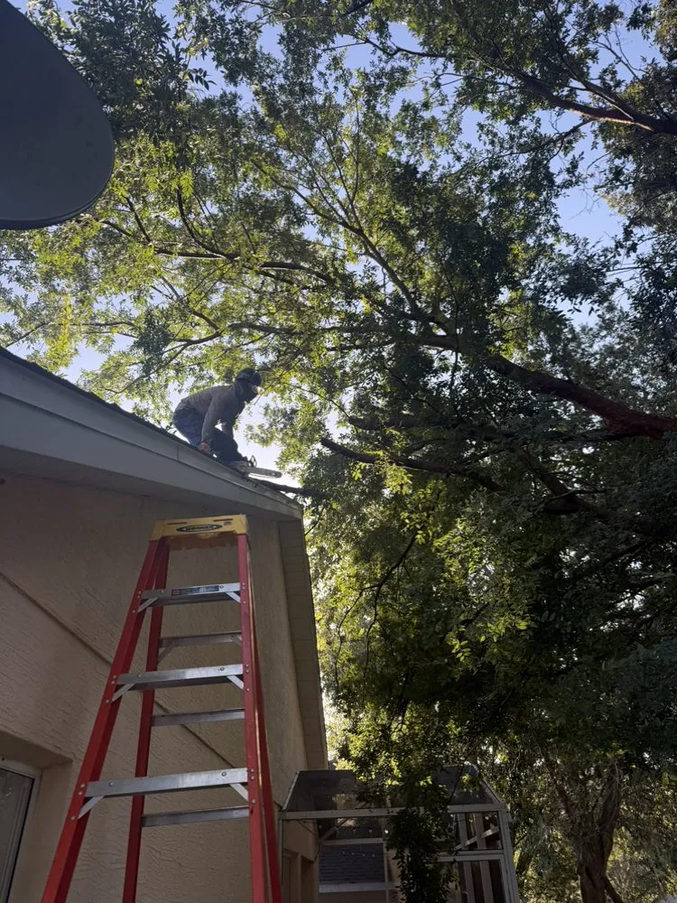 Reliable lawn mowing service for beautiful yards across Orlando, FL - DAE Landscaping