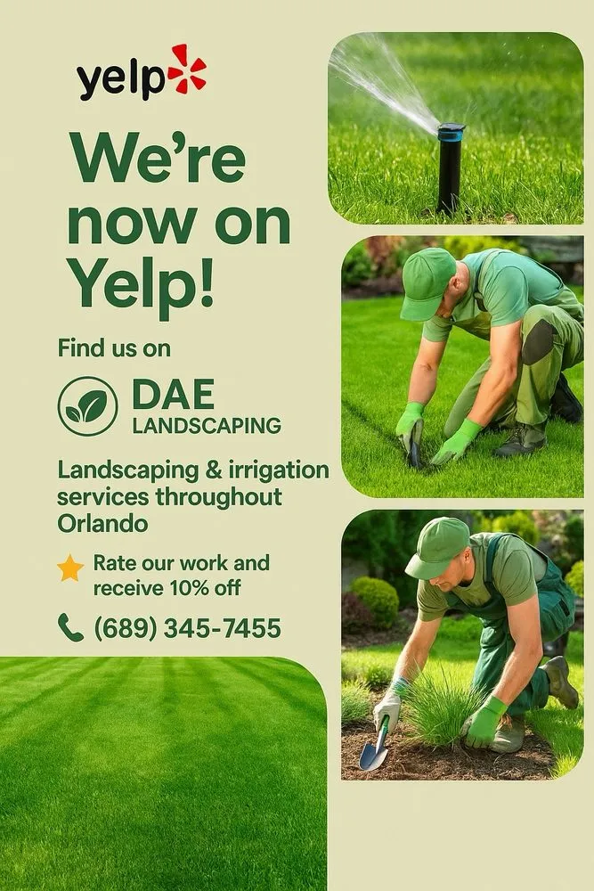 Affordable lawn mowing service experts serving Orlando, FL - DAE Landscaping
