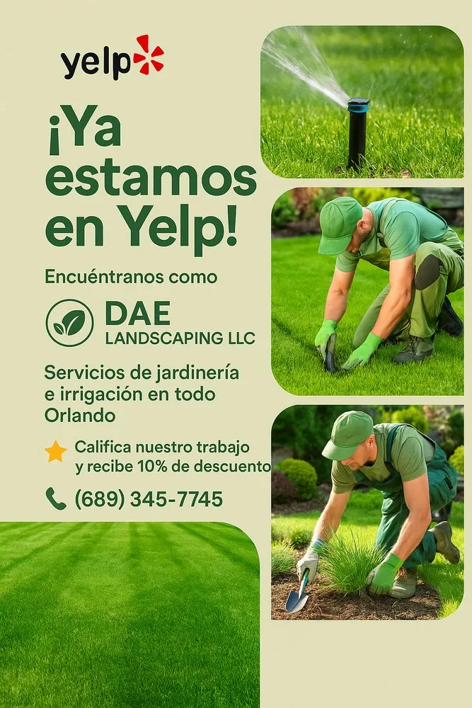 Trusted yard cleanup service experts serving Orlando, FL - DAE Landscaping