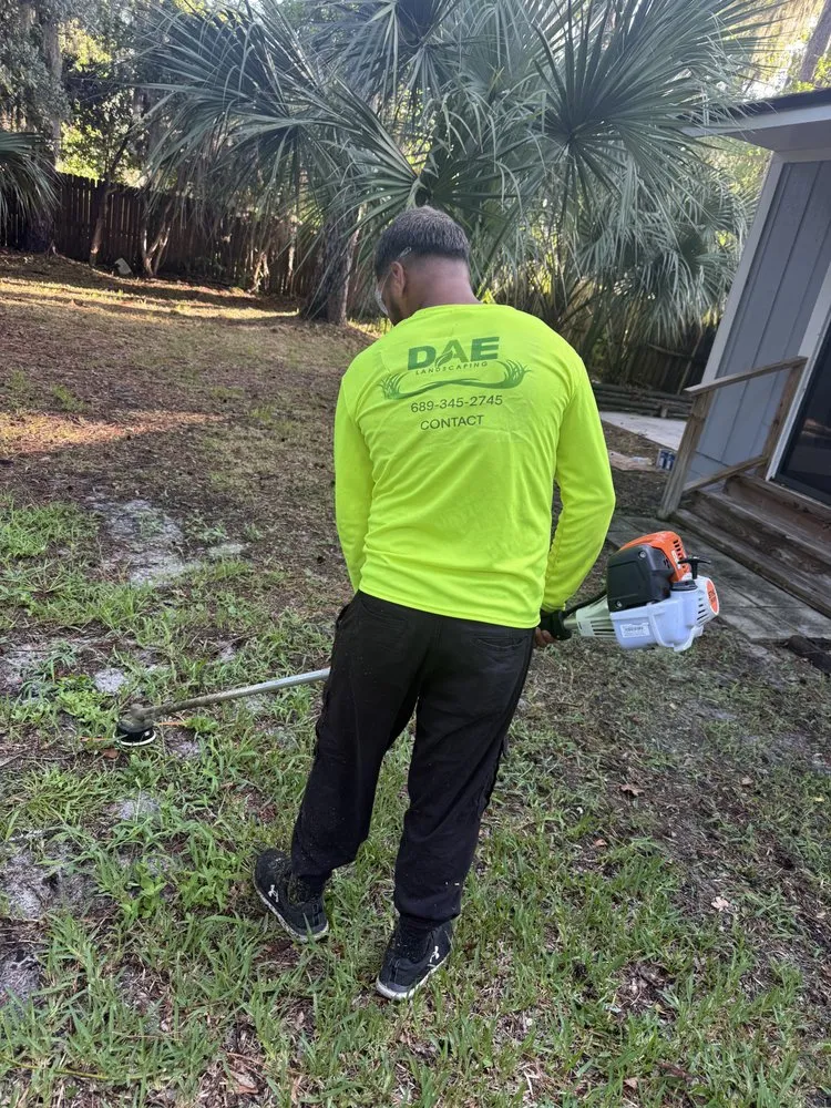 Top-rated residential landscaping experts serving Orlando, FL - DAE Landscaping