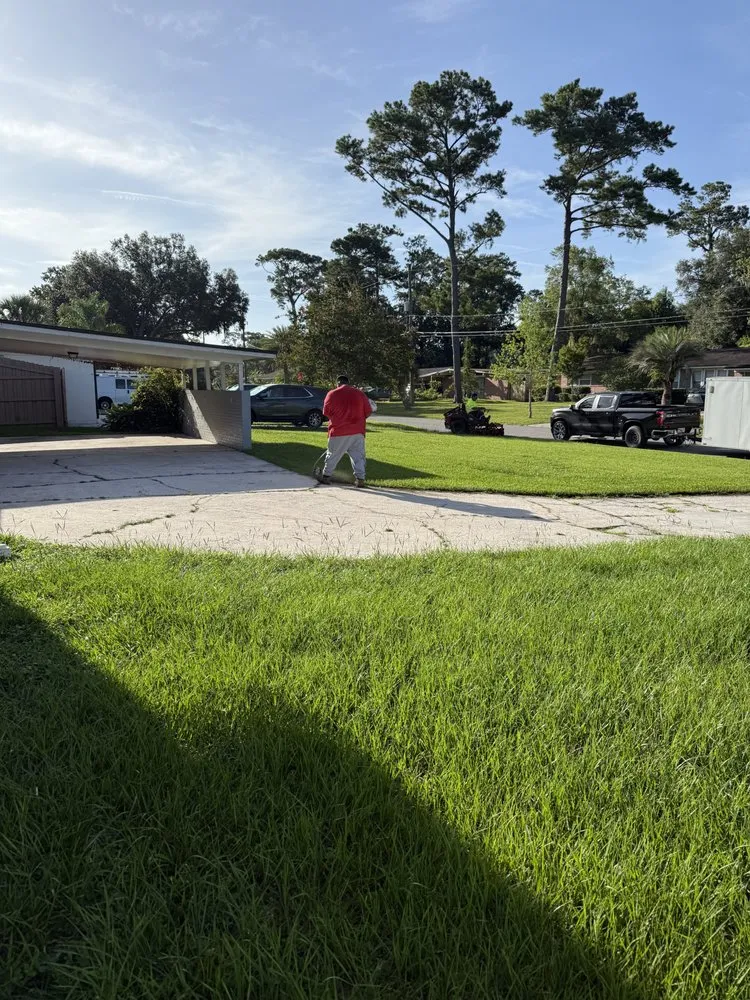 Top-rated landscape design experts serving Orlando, FL - DAE Landscaping