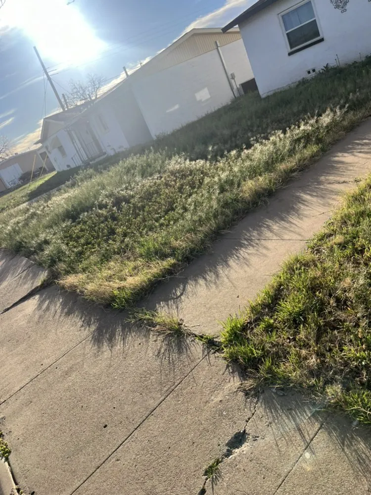 Affordable landscape design experts serving Odessa, TX - Dae’s Helpful Services