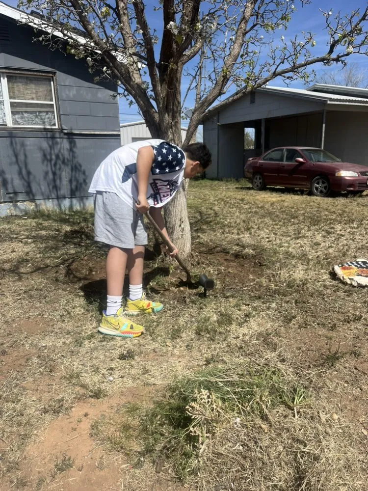 Custom landscaping services for residential properties across Odessa, TX - Dae’s Helpful Services