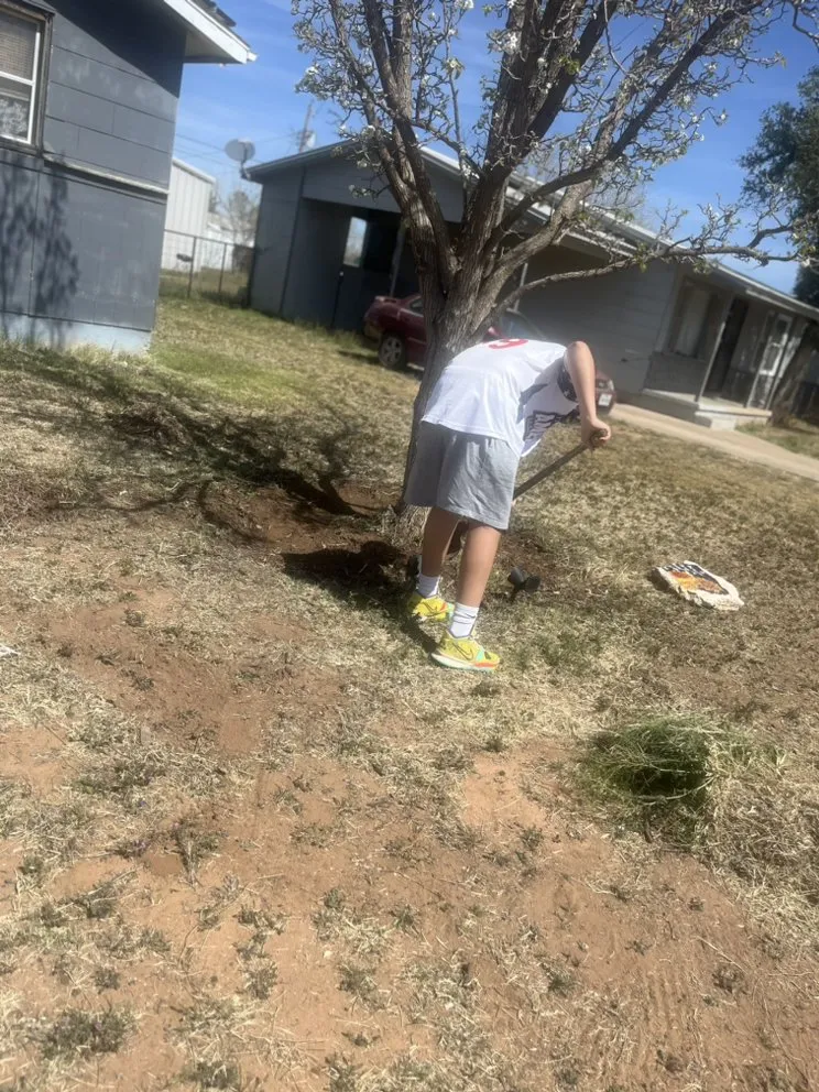 Local outdoor landscaping experts serving Odessa, TX - Dae’s Helpful Services